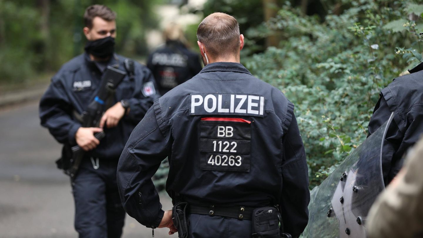 Polizei sucht nach einem verdächtigen Tier, mutmaßlich einer freilaufenden Löwin in einem Waldgebiet