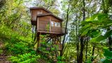 Eine Auszeit mitten im Wald – das erwartet Urlauber in der Nähe der französischen Filmhauptstadt Cannes. Mit zwei Schlafzimmern, Küche und Wohnzimmer bietet diese idyllische Unterkunft Platz für bis zu fünf Personen. Für die Erfrischung an heißen Tagen können Gäste in den Naturpool springen. 