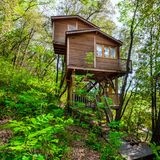 Eine Auszeit mitten im Wald – das erwartet Urlauber in der Nähe der französischen Filmhauptstadt Cannes. Mit zwei Schlafzimmern, Küche und Wohnzimmer bietet diese idyllische Unterkunft Platz für bis zu fünf Personen. Für die Erfrischung an heißen Tagen können Gäste in den Naturpool springen. 