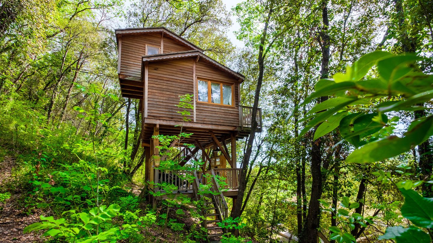 Eine Auszeit mitten im Wald – das erwartet Urlauber in der Nähe der französischen Filmhauptstadt Cannes. Mit zwei Schlafzimmern, Küche und Wohnzimmer bietet diese idyllische Unterkunft Platz für bis zu fünf Personen. Für die Erfrischung an heißen Tagen können Gäste in den Naturpool springen. 