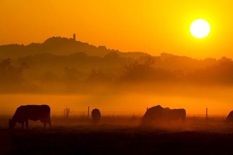 In diesem Sommer waren die Folgen des Klimawandels spürbar. Weltweit kam es zu extremer Hitze, Stürmen und Überflutungen.