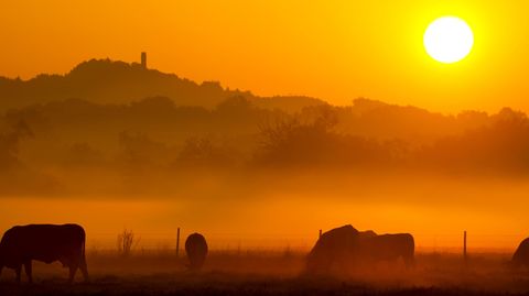In diesem Sommer waren die Folgen des Klimawandels spürbar. Weltweit kam es zu extremer Hitze, Stürmen und Überflutungen.