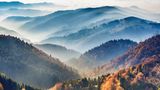 Berge, Seen und Wälder – Deutschland beherbergt eine abwechslungsreiche Naturlandschaft. Das wissen auch Touristen aus dem Ausland zu schätzen. Dem Ranking zufolge hat es ihnen vor allem der Nationalpark Schwarzwald im Südwesten des Landes angetan. Dort schlendern sie durch die Weinberge, machen Wanderungen durch den idyllischen Wald oder einen Trip ins nahegelegene Freiburg. 
