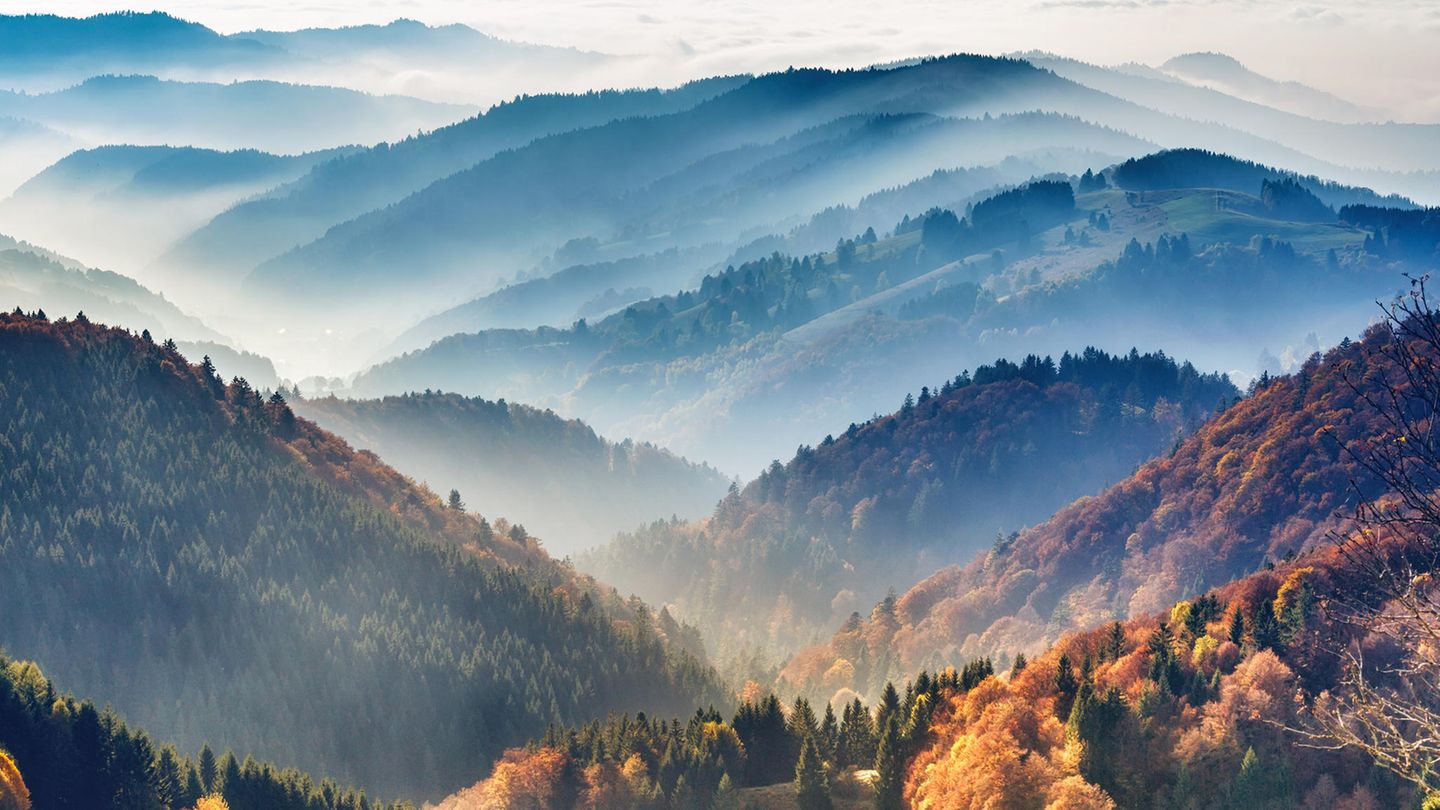 Platz 8: Nationalpark Schwarzwald Berge, Seen und Wälder – Deutschland beherbergt eine abwechslungsreiche Naturlandschaft. Das wissen auch Touristen aus dem Ausland zu schätzen. Dem Ranking zufolge hat es ihnen vor allem der Nationalpark Schwarzwald im Südwesten des Landes angetan. Dort schlendern sie durch die Weinberge, machen Wanderungen durch den idyllischen Wald oder einen Trip ins nahegelegene Freiburg.