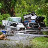 Diesen Hinterhof eines Hauses in in Steinhatchee hat "Idalia" in eine sumpfige Müllhalde verwandelt