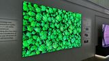 IFA 2023 Samsung MicroLED TV