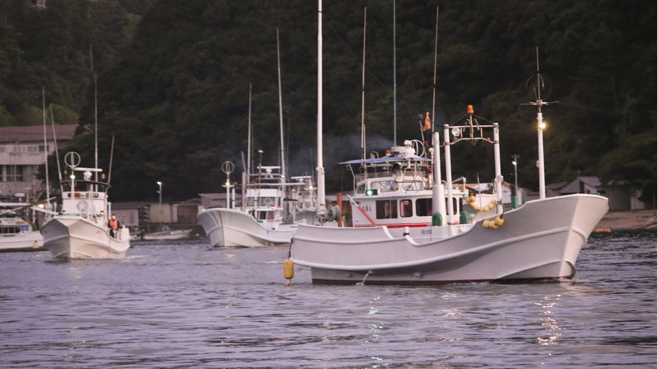 Fischerboote verlassen einen Hafen für die erste Treibjagd der Saison auf Delfine und Kleinwale
