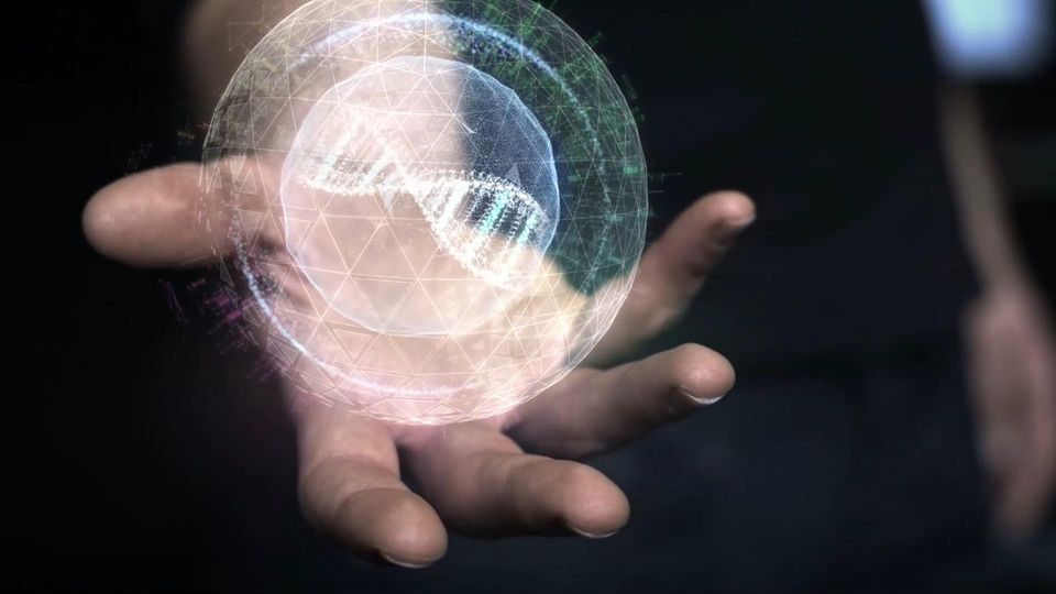 Was Ihre Hände über Ihre Gesundheit aussagen.