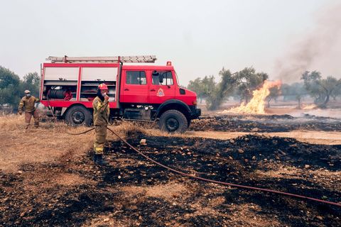 Feuerwehrleute bei Löscharbeiten auf der Insel Euböa, in Zentralgriechenland