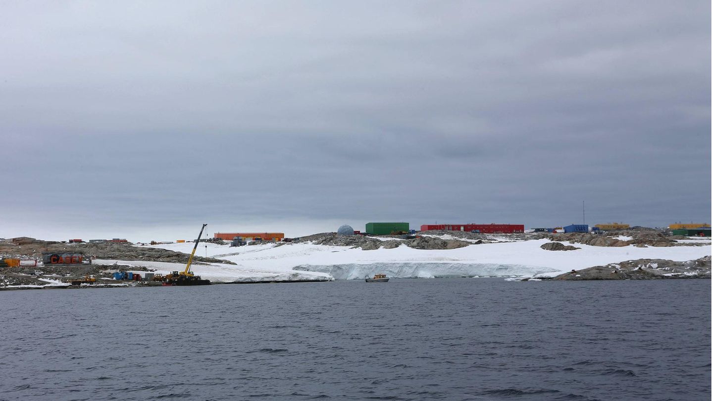 Rettung aus der Antarktis Australien startet Rettungsmission STERN.de