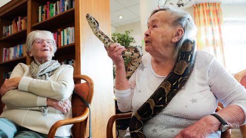 Hamburg: Eine ältere Frau trägt eine Schlange um den Hals und staunt.