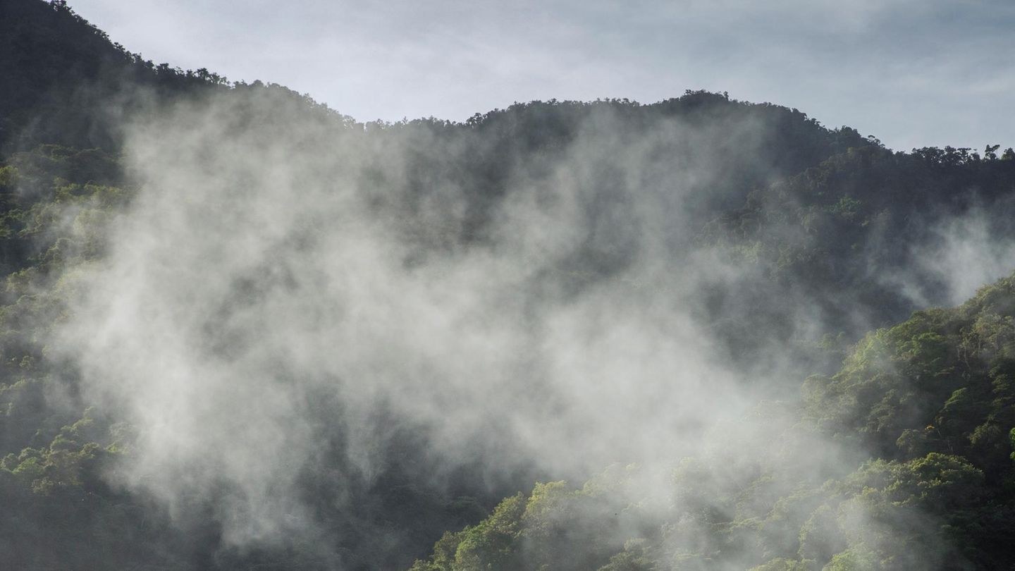 Nebel über dem Regenwald in Ecuador Nebel über dem Regenwald in Ecuador
