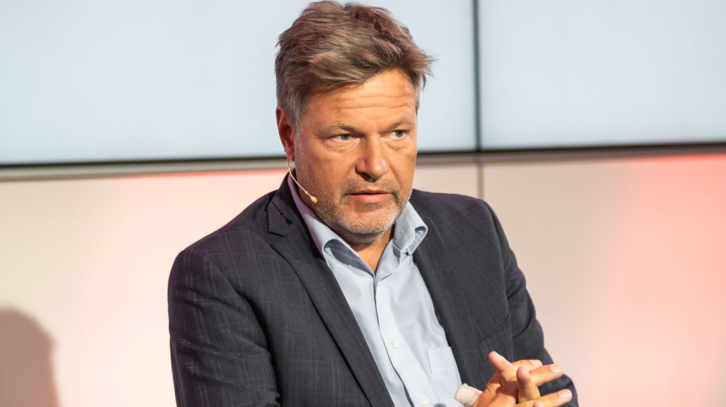 Robert Habeck considers Merz’s coalition statement on the Greens to be “nonsense”
