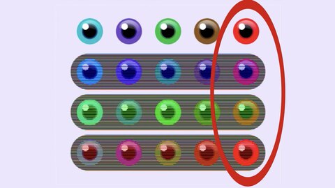 Haben Sie schon einmal von dem sogenannten Bezold-Effekt gehört? Genau dieser erklärt nämlich, warum Sie die tatsächliche Farbe der Augen wahrscheinlich nicht sofort wahrnehmen können.