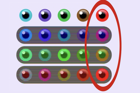 Haben Sie schon einmal von dem sogenannten Bezold-Effekt gehört? Genau dieser erklärt nämlich, warum Sie die tatsächliche Farbe der Augen wahrscheinlich nicht sofort wahrnehmen können.