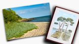 Strand in Sicht
