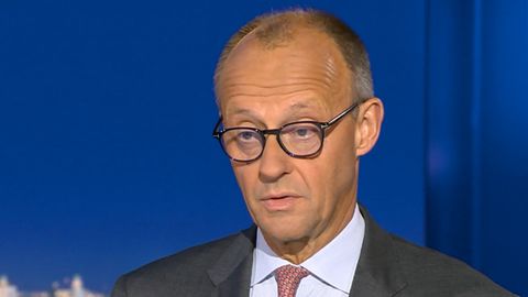 "Bundeskanzler hat Probleme, sich in eigenen Reihen durchzusetzen": Merz reagiert mit Skepsis auf Scholz-Vorschlag