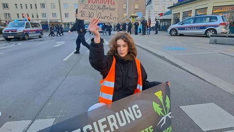 Klimaaktivistin Wien