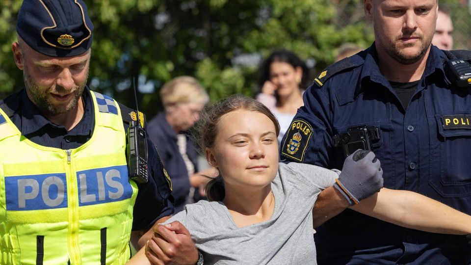 Wie Finanziert Sich Greta Thunberg Wegen Greta Thunberg änderten 30 Prozent der Schweizer ihr Verhalten