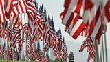 Malibu, Kalifornien. Auf dem Campus der Pepperdine University schaut ein Besucher auf einige der fast 3000 Flaggen, die die Opfer der Terroranschläge vom 11. September 2001 repräsentieren sollen. US-Präsident Joe Biden wird den 22. Jahrestag des schlimmsten Terroranschlags auf amerikanischem Boden mit einer Gedenkfeier auf einem Militärstützpunkt in Alaska begehen.