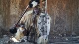 Bulawayo, Simbabwe. Nkululeko Mthandeni Nyondo, ein Kommandeur des Mthwakwazi-Regiments, posiert für ein Porträt bei der jährlichen Gedenkfeier für König Mzilikazi. Mzilikazi wanderte auf der Flucht vor dem Krieg aus Südafrika ein und ließ sich 1838 im heutigen Simbabwe nieder.