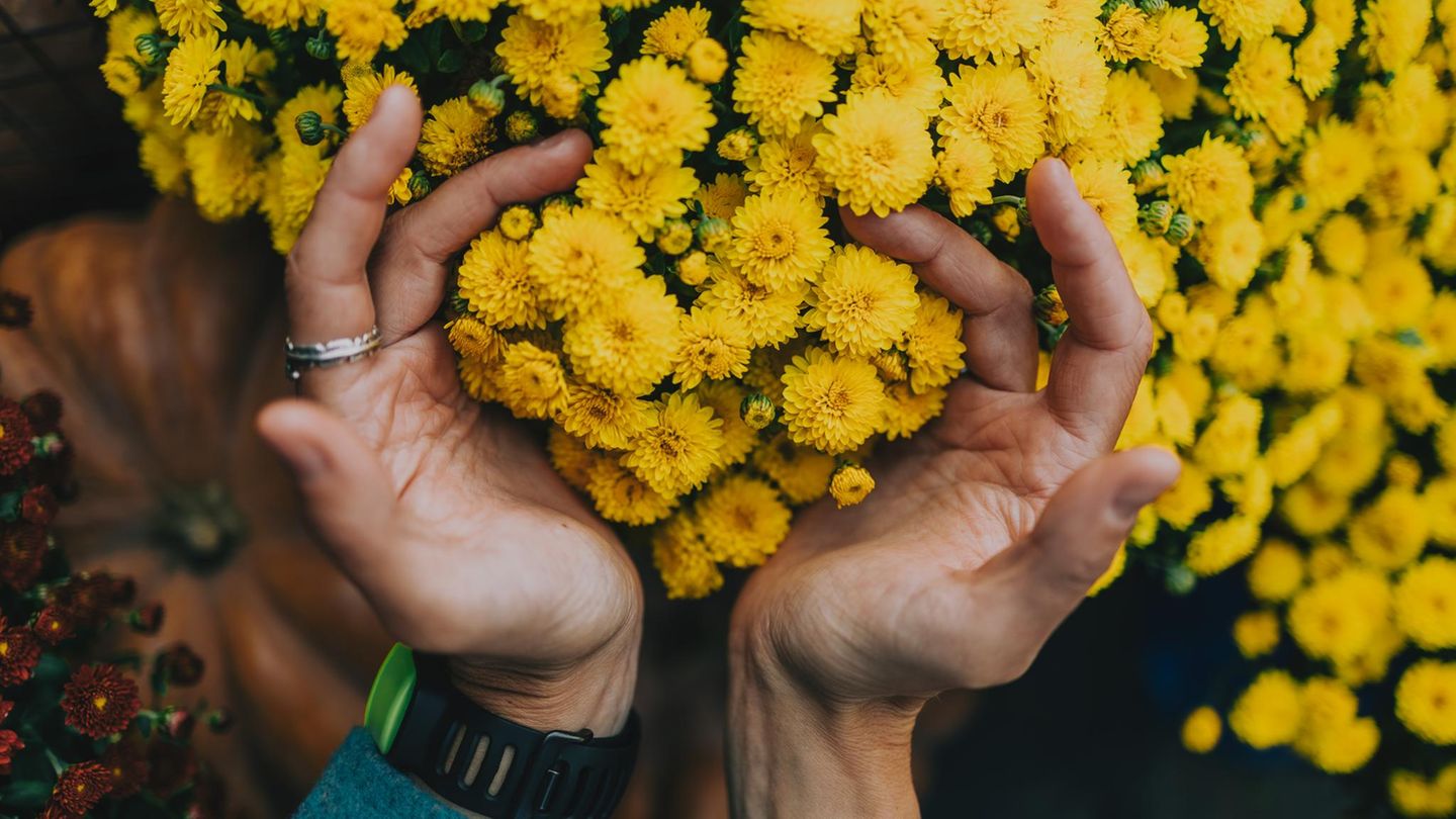 Eine Frau gießt Blumen im Garten.