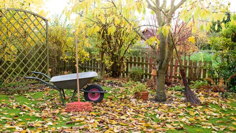 Herbst - Gartenarbeit