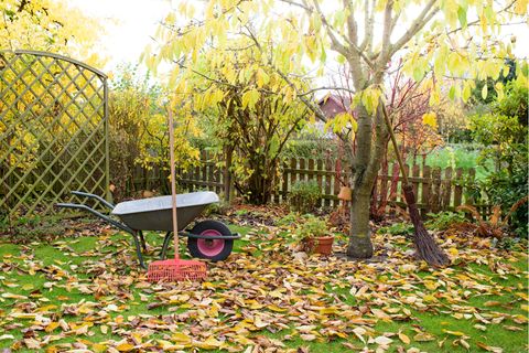 Herbst - Gartenarbeit