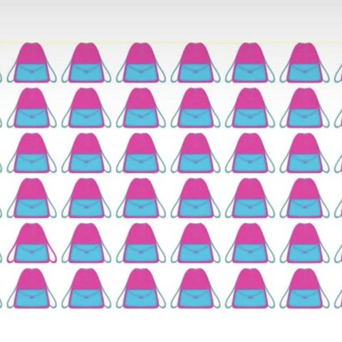 Augentest: Welcher Rucksack ist anders als der Rest?