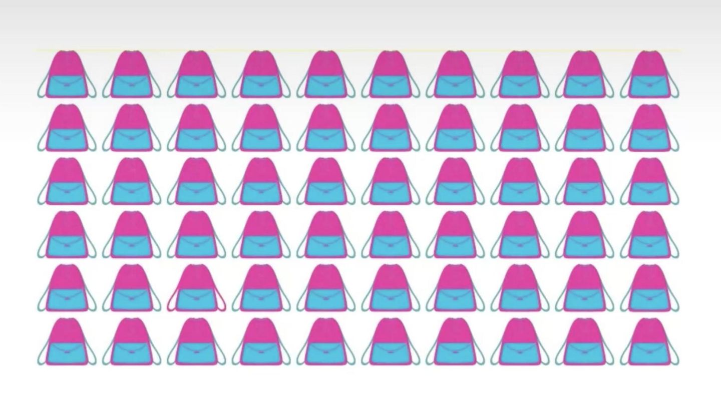 Augentest: Sehen Sie, bei welchem Rucksack ein Detail anders ist?
