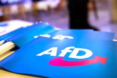 Dem bayerischen AfD-Landesverband zufolge sind die Plakate nicht vom Landesverband genehmigt worden
