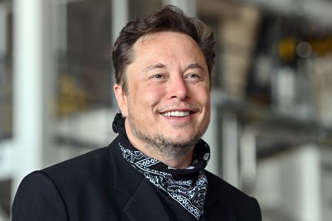 Elon Musk im Portait
