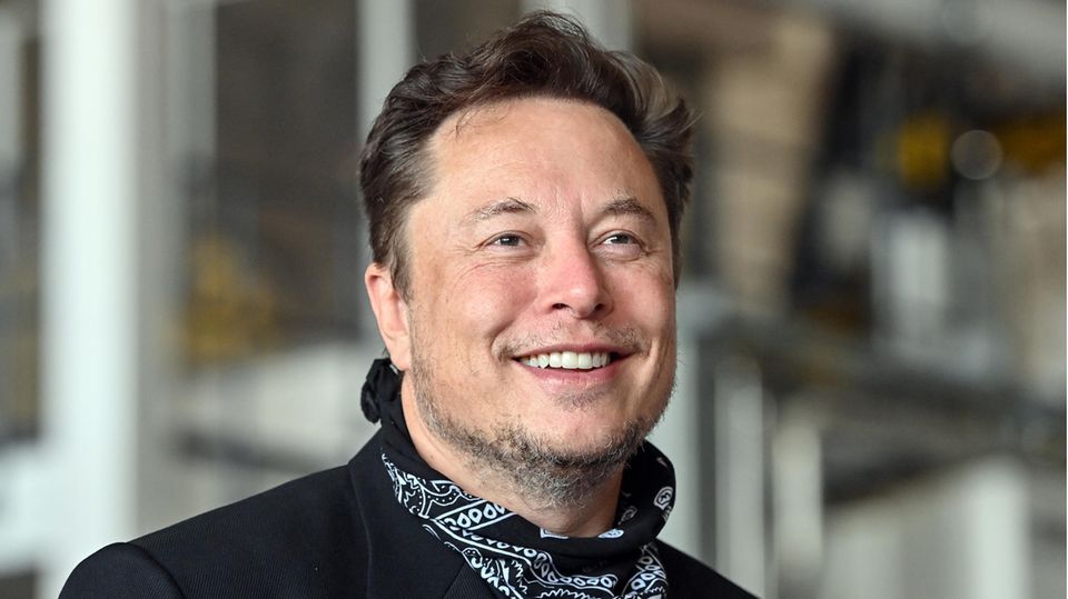 Elon Musk im Portait