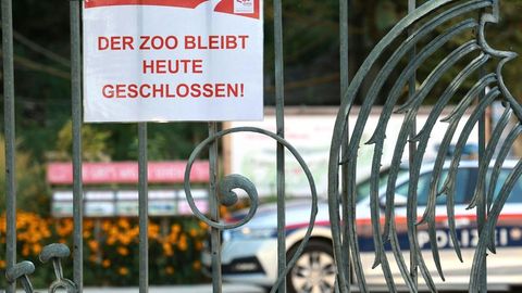 Nach dem Tod einer Pflegerin bleibt der Zoo Salzburg am Dienstag geschlossen