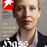 Stern-Cover Alice Weidel