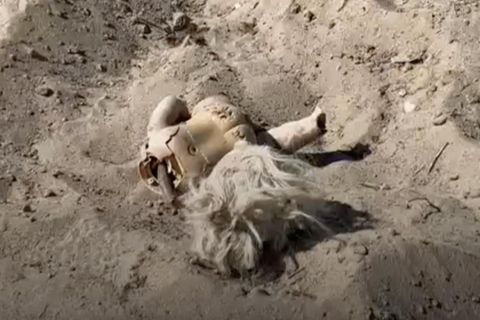 Acht Leichen aus Massengrab in Mexiko geborgen