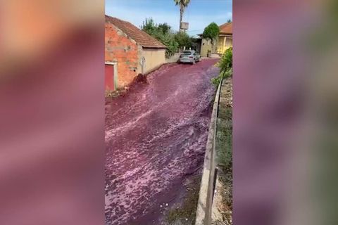 Millionen Liter Wein überschwemmen Dorf in Portugal