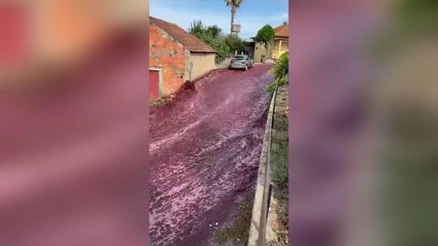 Millionen Liter Wein überschwemmen Dorf in Portugal