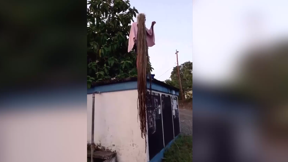 Video: Mann aus Jamaica zeigt Dreadlocks, die 40 Jahre gewachsen sind