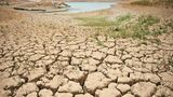 Klimawandel und Erderwärmung machen sich immer stärker bemerkbar – auch in Deutschland. Hitzewellen, Überflutungen und Dürren sind die Folgen in aller Welt. Trotzdem gibt es auch hier noch Hoffnung: Das Team verweist am Beispiel der Erderwärmung etwa auf Aufforstung. Sollte die Menschheit es schaffen, den CO2-Gehalt der Atmosphäre auf 450 Teilchen pro Million (parts per million, ppm) zu begrenzen - derzeit liegt er bei 417 - und zudem den Bestand des borealen und des tropischen Waldes nicht unter 60 Prozent der ursprünglichen Bewaldung sinken zu lassen, könnte die Erderwärmung deutlich gebremst werden: "Dann deutet die Simulation auf einen durchschnittlichen Temperaturanstieg über dem Land von 1,4 Grad bis zum Jahr 2100 hin", heißt es.  Planetare Belastungsgrenze: deutlich überschritten.