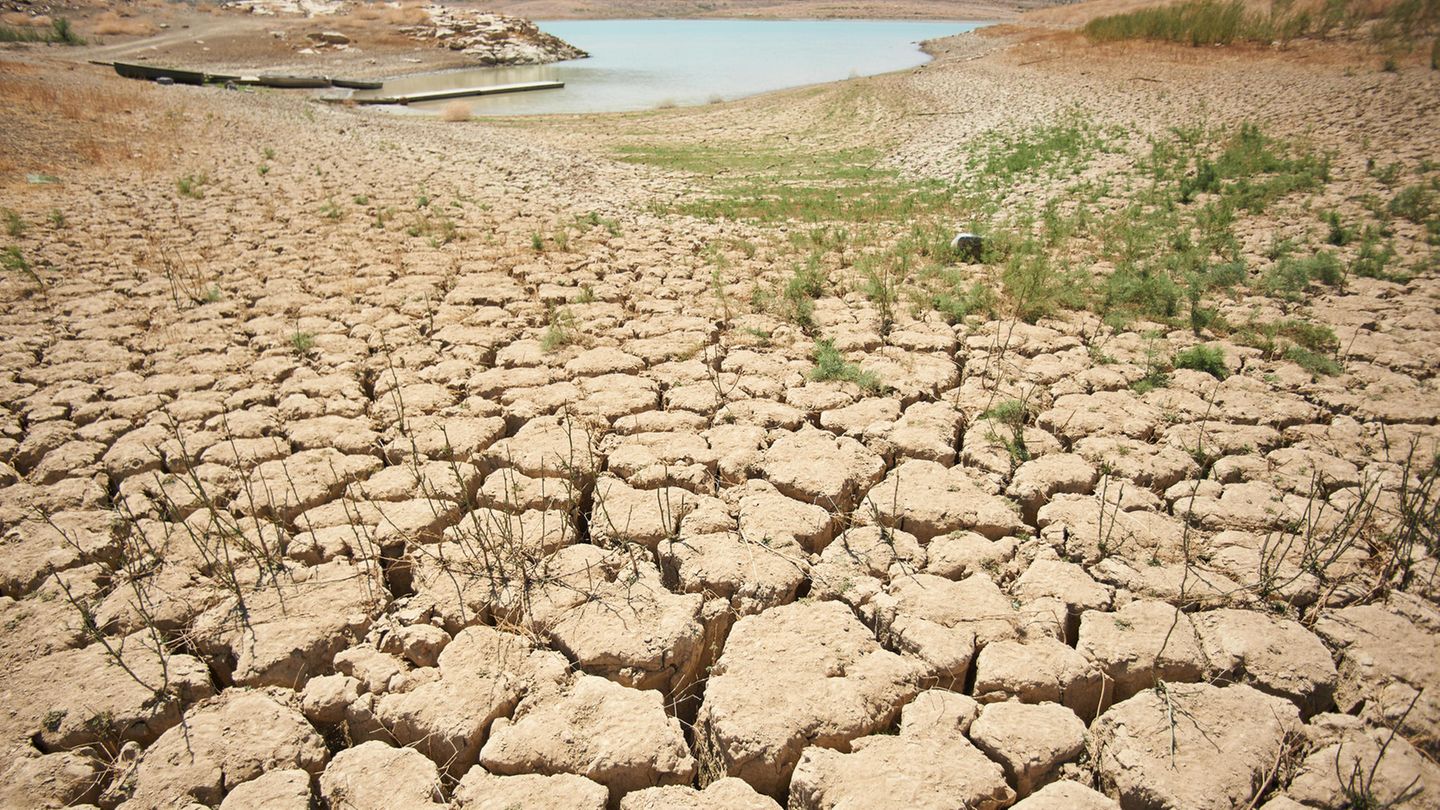 Klimawandel und Erderwärmung machen sich immer stärker bemerkbar – auch in Deutschland. Hitzewellen, Überflutungen und Dürren sind die Folgen in aller Welt. Trotzdem gibt es auch hier noch Hoffnung: Das Team verweist am Beispiel der Erderwärmung etwa auf Aufforstung. Sollte die Menschheit es schaffen, den CO2-Gehalt der Atmosphäre auf 450 Teilchen pro Million (parts per million, ppm) zu begrenzen - derzeit liegt er bei 417 - und zudem den Bestand des borealen und des tropischen Waldes nicht unter 60 Prozent der ursprünglichen Bewaldung sinken zu lassen, könnte die Erderwärmung deutlich gebremst werden: "Dann deutet die Simulation auf einen durchschnittlichen Temperaturanstieg über dem Land von 1,4 Grad bis zum Jahr 2100 hin", heißt es.  Planetare Belastungsgrenze: deutlich überschritten.