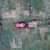 Schon seit Jahrtausenden roden Menschen Wald, um Flächen für Ackerbau zu nutzen. Doch in den letzten 50 Jahren ist die Umwandlung der Landschaft besonders schnell vorangeschritten. Da Wälder immer weiter zurückgedrängt werden, schrumpft auch ihre Rolle bei der Aufnahme von CO2. Das beschleunigt wiederum den Klimawandel. Auch die Veränderung der Bodenstruktur nach der Abholzung könnte bei Extremwetterlagen Dürren und Überschwemmungen noch verstärken – all das führt dazu, dass Forscherinnen und Forscher diesen Faktor als planetare Belastungsgrenze besonders im Blick haben.  Planetare Belastungsgrenze: überschritten.