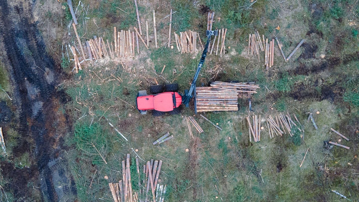 Schon seit Jahrtausenden roden Menschen Wald, um Flächen für Ackerbau zu nutzen. Doch in den letzten 50 Jahren ist die Umwandlung der Landschaft besonders schnell vorangeschritten. Da Wälder immer weiter zurückgedrängt werden, schrumpft auch ihre Rolle bei der Aufnahme von CO2. Das beschleunigt wiederum den Klimawandel. Auch die Veränderung der Bodenstruktur nach der Abholzung könnte bei Extremwetterlagen Dürren und Überschwemmungen noch verstärken – all das führt dazu, dass Forscherinnen und Forscher diesen Faktor als planetare Belastungsgrenze besonders im Blick haben.  Planetare Belastungsgrenze: überschritten.