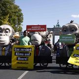 Greenpeace marschiert mit den Kostümen der drei Affen mit Fridays for Future