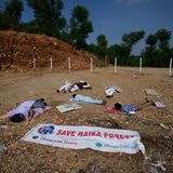 In Indien demonstrieren Umweltschützer im Rahmen des globalen Klimastreiks unter anderem gegen die Abholzung des Raika-Waldes.