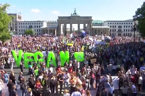 Video: Mehr als 20.000 Menschen bei Klimastreik in Berlin