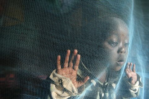 Kampf gegen Malaria, Tuberkulose und Aids