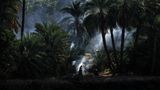 Das Bild eines Palmenhains am Ufer des Nil