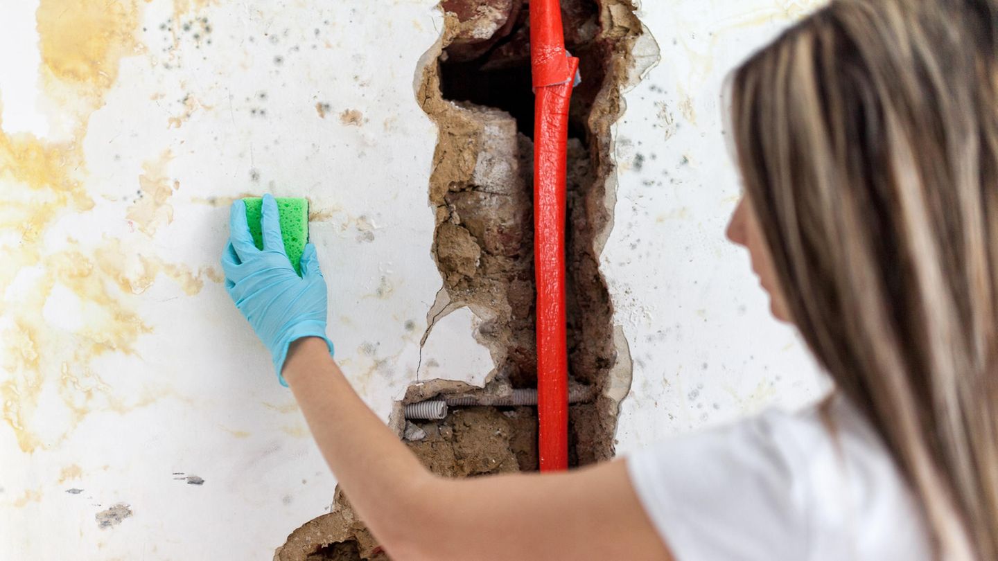 Frau putzt eine schmutzige Wand mit einem Schwamm