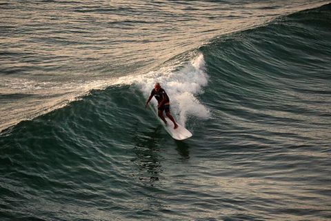 Australien: Mann nimmt Python mit zum Surfen